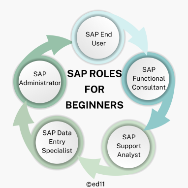 SAP Roles for Beginners - Ed11